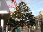 P1000187.JPG